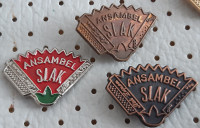 Značke Ansambel SLAK harmonika (6)