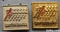 Znački Športna značka - zlati, I. in II. skupina