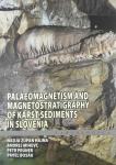 PALAEOMAGNETISM AND MAGNETOSTRTIGRAPHY OF KARST SEDIMENTS IN SLOVENIA