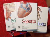 Sobotta anatomski atlas - set treh, v odličnem stanju