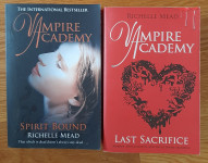 Richelle Mead  - Vampire Academy