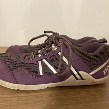 Xero Prio Youth št. 34