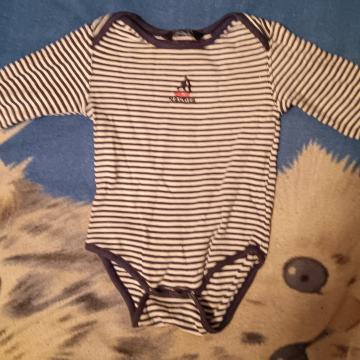 Body 62