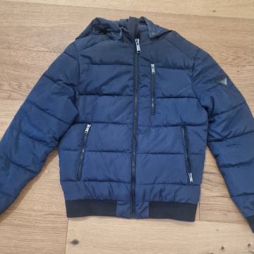 Moška bunda Guess št. S