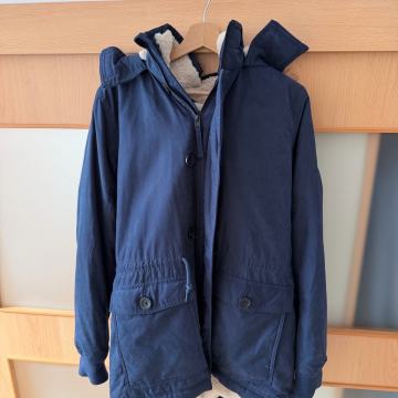 Moška jakna Hollister (Medium)