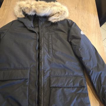 parka adidas