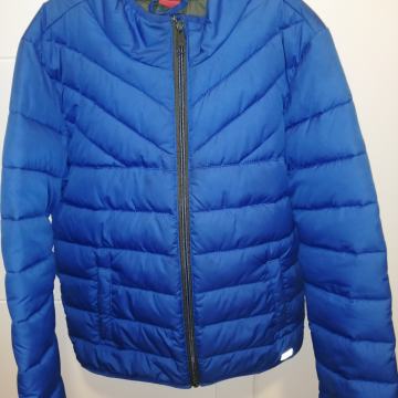 Prehodna bundica