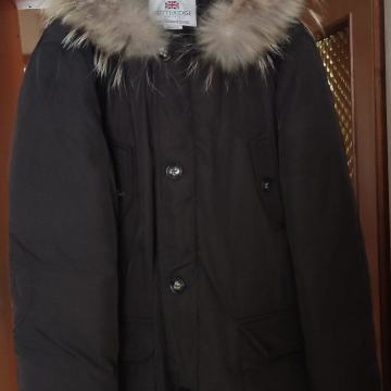 Gutteridge rjava jakna,medium