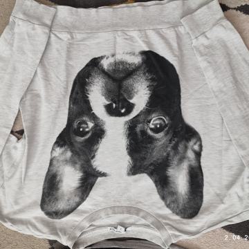 Taily waily st S oz 158/164