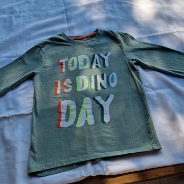 Fantovski majici št 134 8-9 let, Today is dino day-zelena in črna