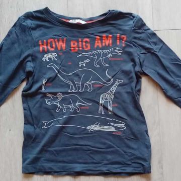 HM majica dinozavri-122/128