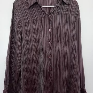 SVILENA SRAJCA LABOD št. 40