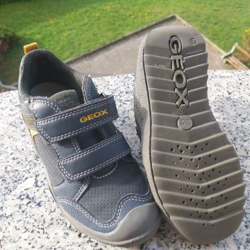 Geox 29