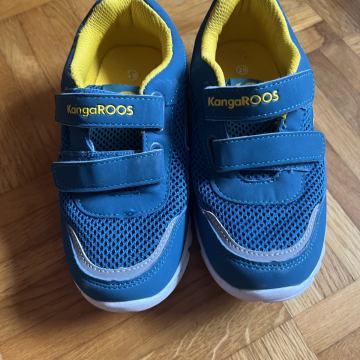 Kangaroos superge