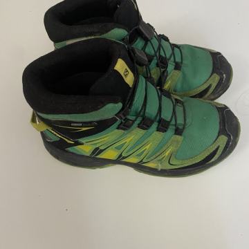 Salomon 33