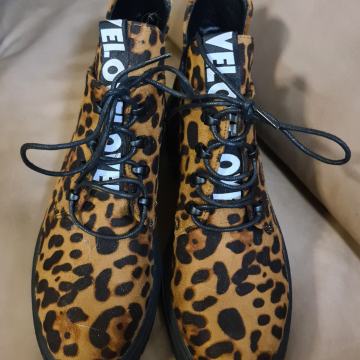 gleznarji tigrasti, st. 40