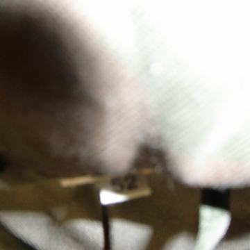 VOJAŠKA JAKNA SLO IZ 1990L