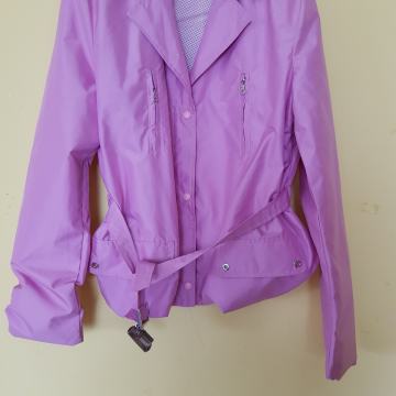 ROZA SPOMLADANSKA VETROVKA M/L