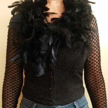 Jopica s pravim perjem