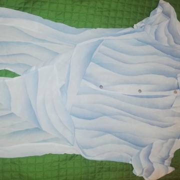 Labod ženksa tunika št 40