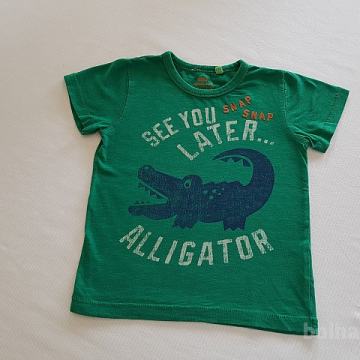 Fantovska majica Next, št. 92, zelena Aligator