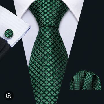 Barry Wang zelena kravata