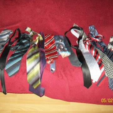 Kravate (kakih 14 kosov)
