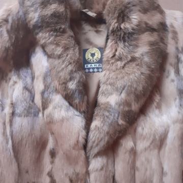 Krznena jakna plašček, zajec