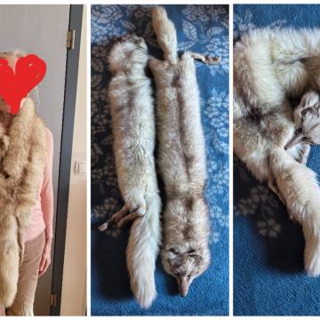 Eleganten krzneni plašč + krzneni dodatek iz lisice-odlično ohranjeno