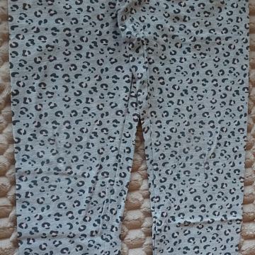 Tanke pajkice št. 146/152