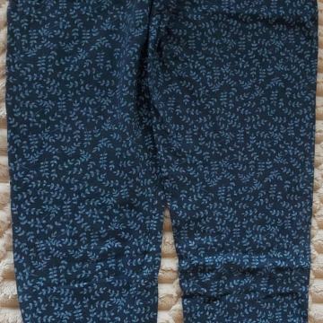 Tanke pajkice št. 146