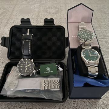 PAGANI in Steeldive moške ure (posamična prodaja)