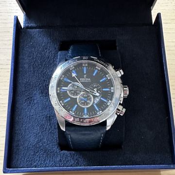 Ročna ura Festina F16489/3