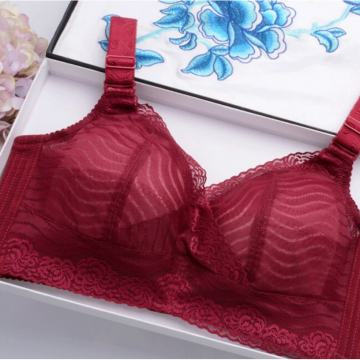 Nedrček minimizer 70D-E