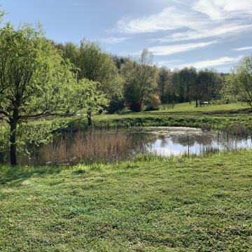 Idilična posest z ribnikom in pomožnim objektom