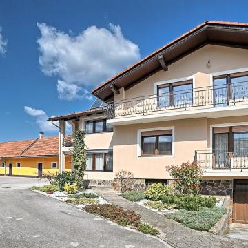 Lokacija hiše: Lovrenc na Dravskem polju, 345.00 m2