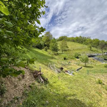 Rošpoh - Del, 18317 m2