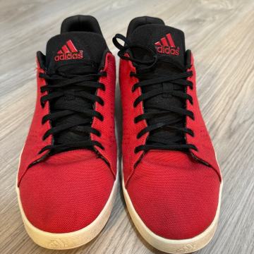 Adidas D Rose Lakeshore