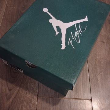 Air Jordan 4 Oxidized green (retro)