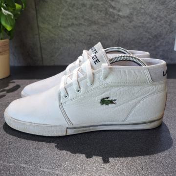 LACOSTE Čevlji (40)