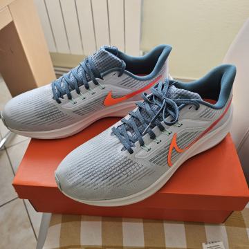 nike pegasus š45