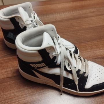 Puma 42