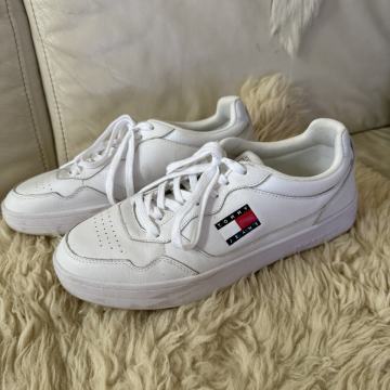 Superge Tommy Hilfiger št. 43, usnjene, Ljubljana