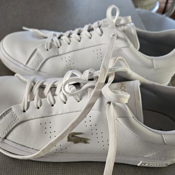 TENIS COPATI, LACOSTE, beli...št. 40,5