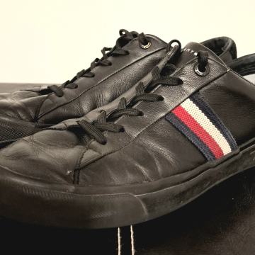 TOMMY HILFIGER - Moški nizki čevlji (42)