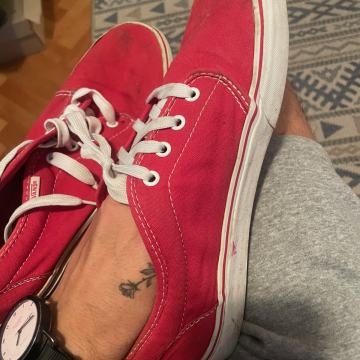 Vans us 10 eur 43