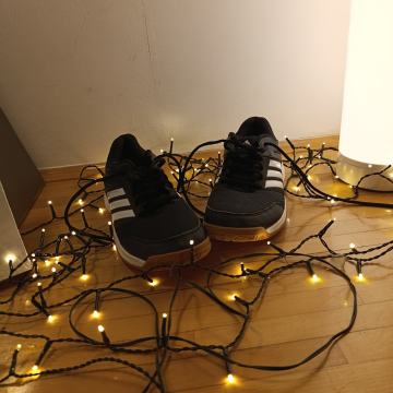 Adidas Speedcourt M shoes