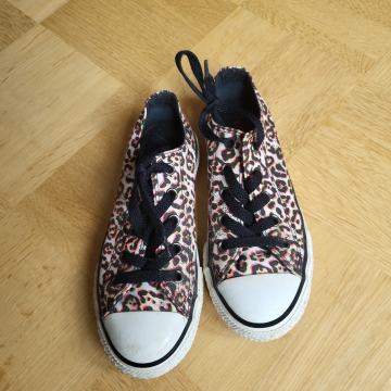 All star superge