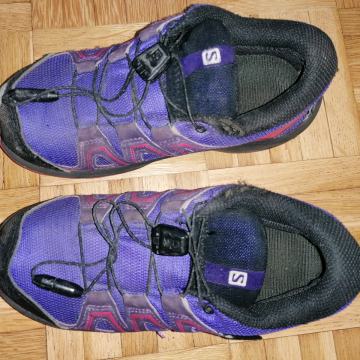 Salomon 31