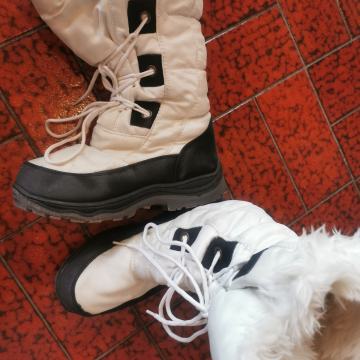 Skibucki 38